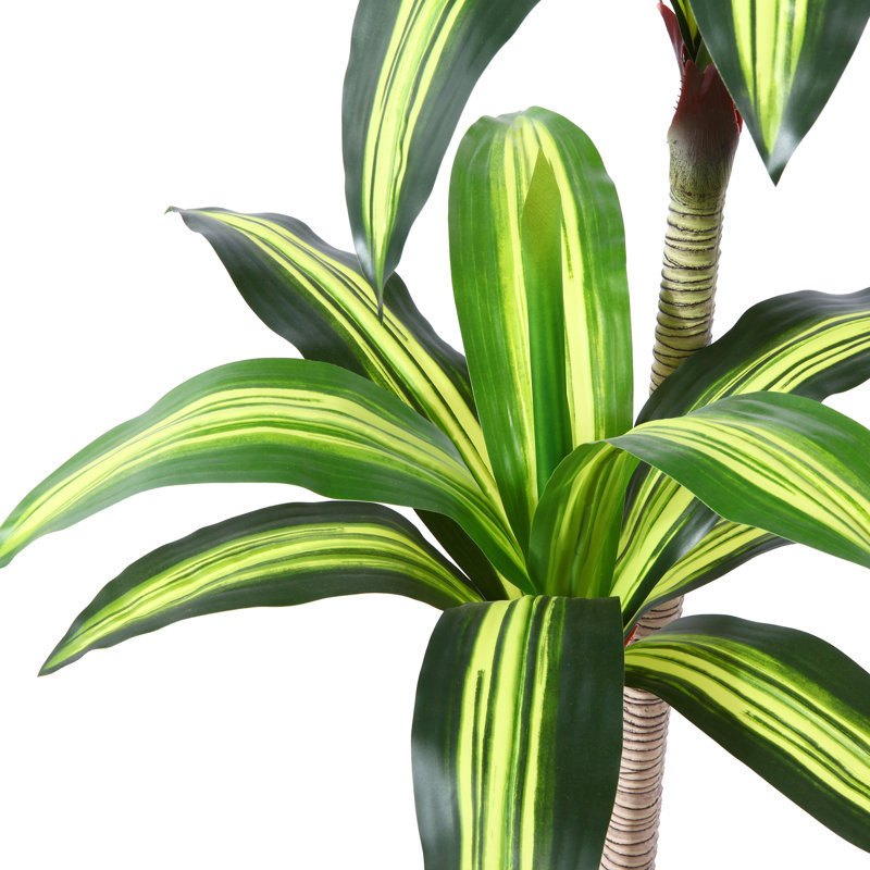 Primrue Adcock Artificial Dracaena Tree in Pot, Faux Dracaena Plant